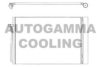 AUTOGAMMA 103655 Condenser, air conditioning